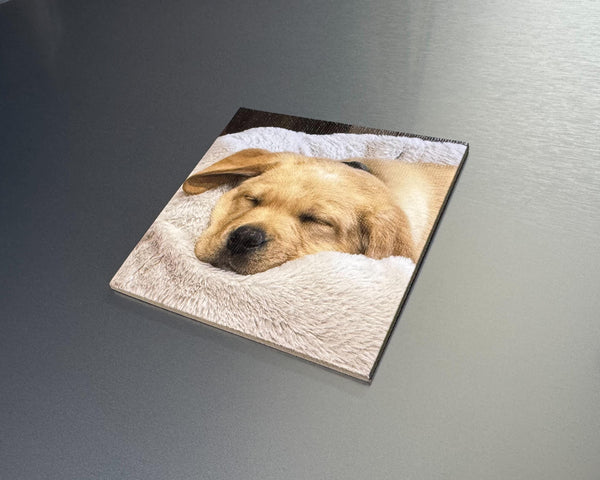 Custom UV Printed Photo Canvas Fridge Magnet โ Heart or Square