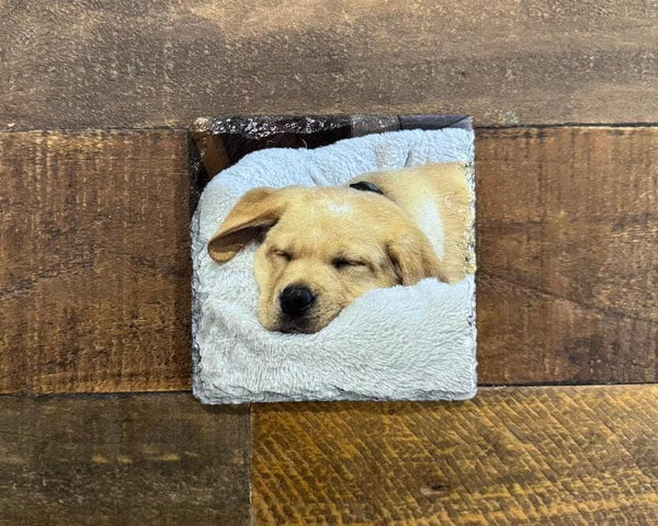 Custom UV Printed Pet Portrait Natural Slate Coaster