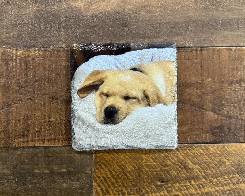 Custom UV Printed Pet Portrait Natural Slate Coaster