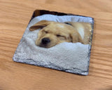 Custom UV Printed Pet Photo Natural Slate Coaster
