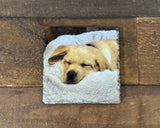 Custom UV Printed Pet Portrait Natural Slate Coaster