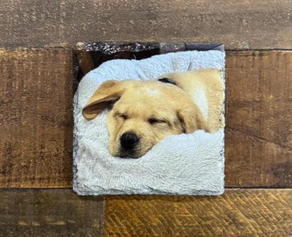 Custom UV Printed Pet Photo Natural Slate Coaster